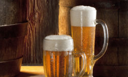 Etiam dictum egestas