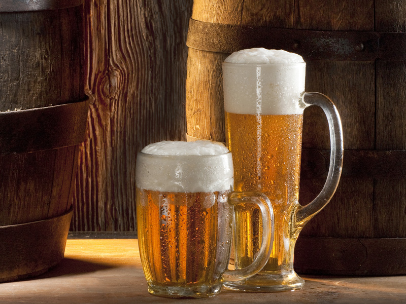 Etiam dictum egestas